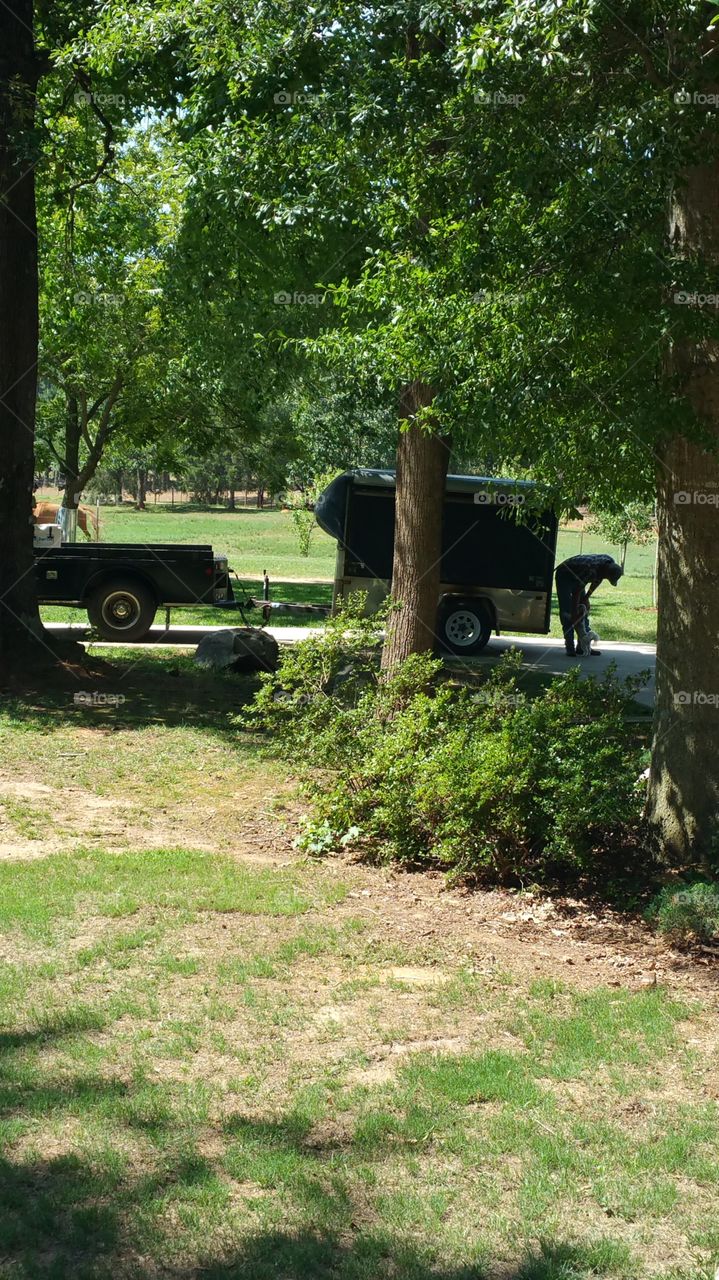 Environment, Tree, Road, Park, Landscape