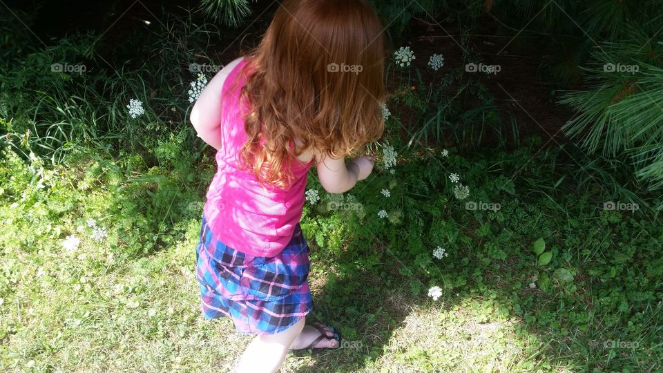 Picking Flowers