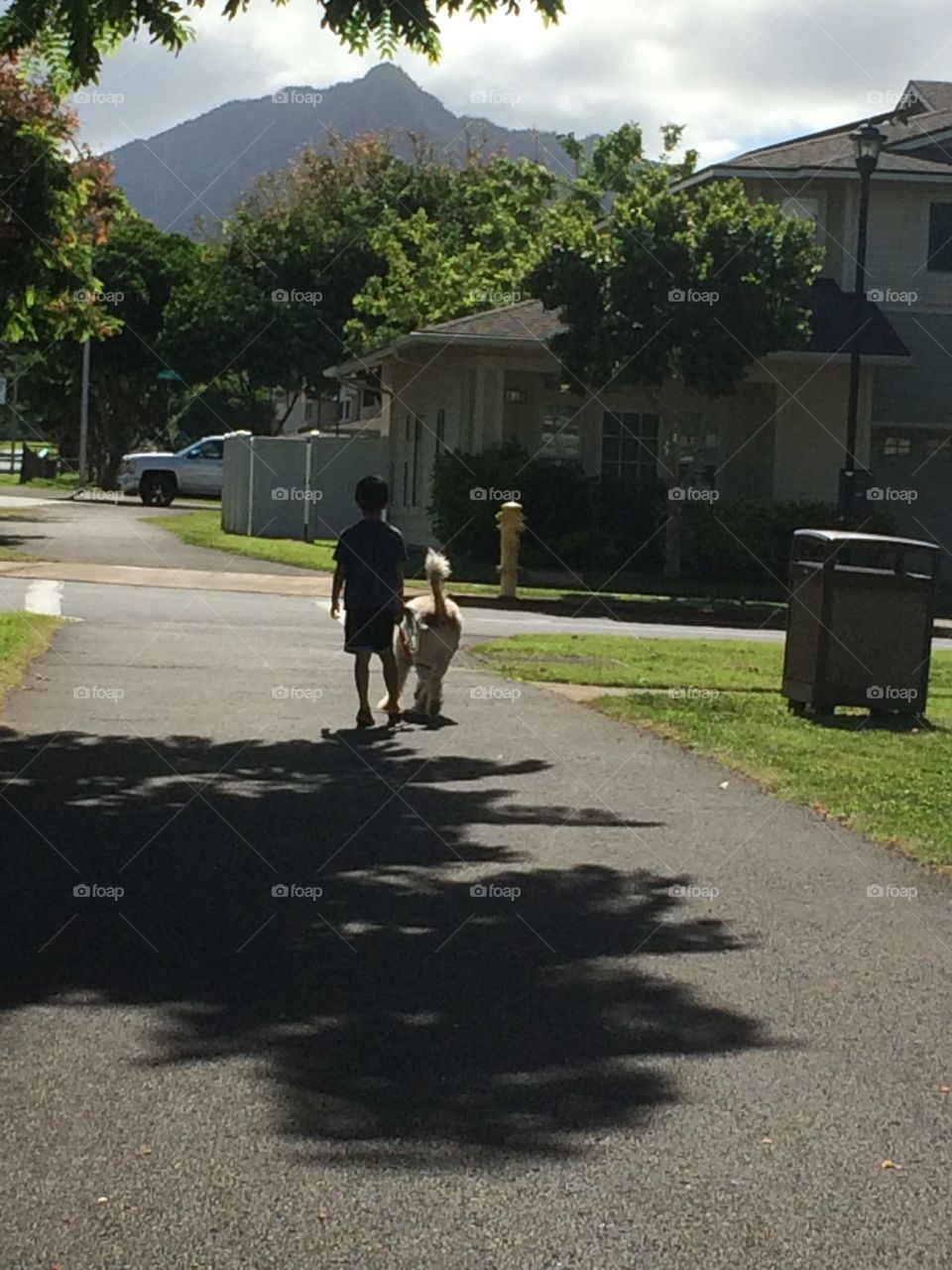 A boy walking his dog