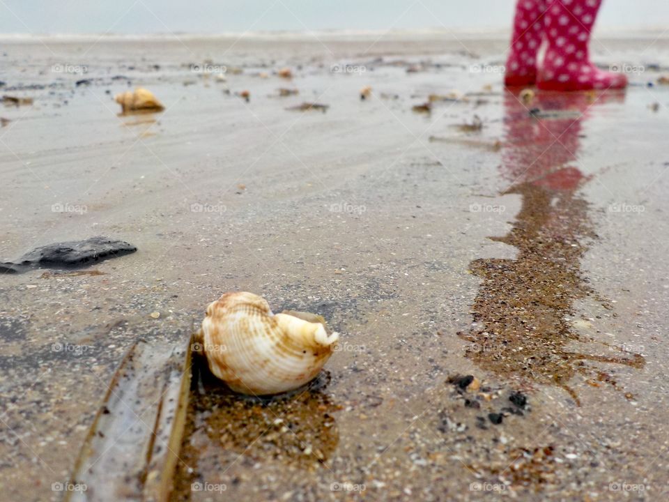 Seashell and wellies 