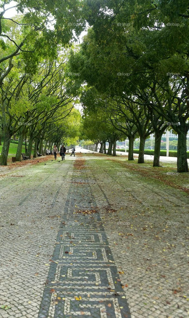 Distant view of people in park