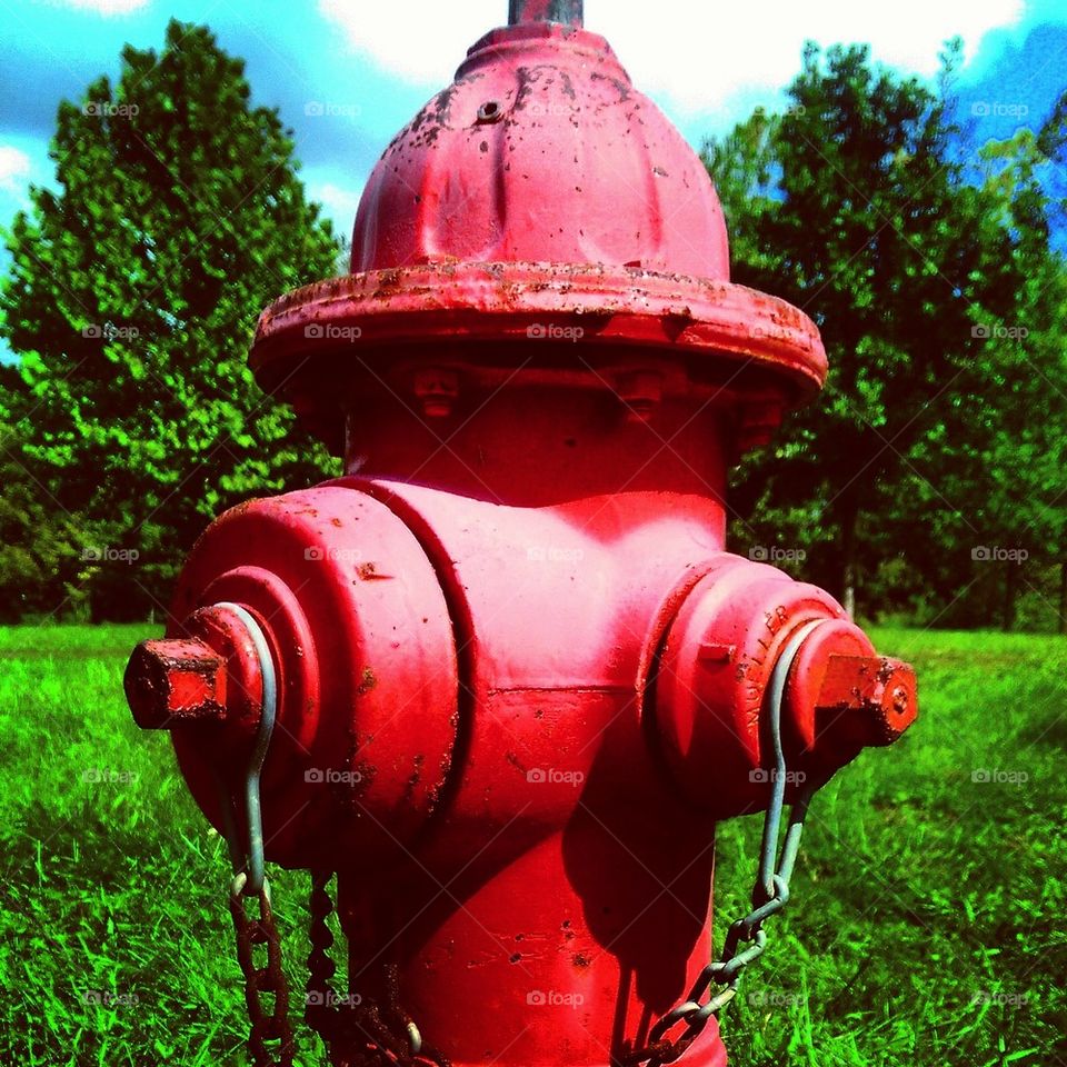 Red Hydrant 