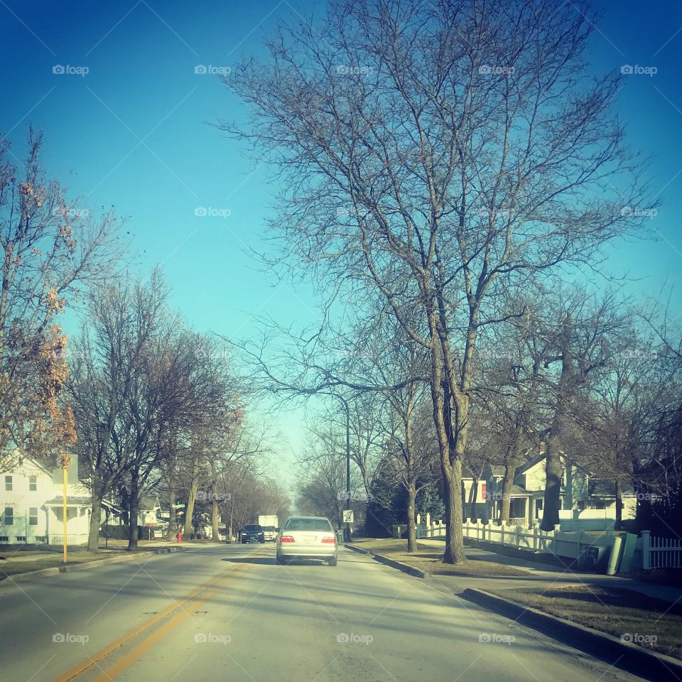 A road in the Chicago suburbs.