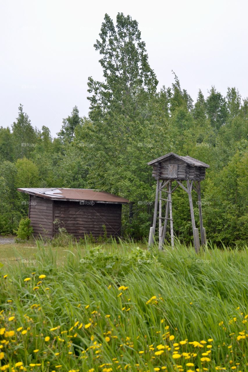 Alaskan Shed And Cache