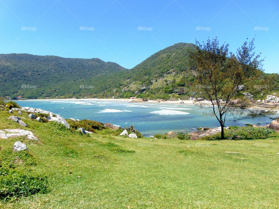 Armação, Florianópolis, Santa Catarina, Brasil