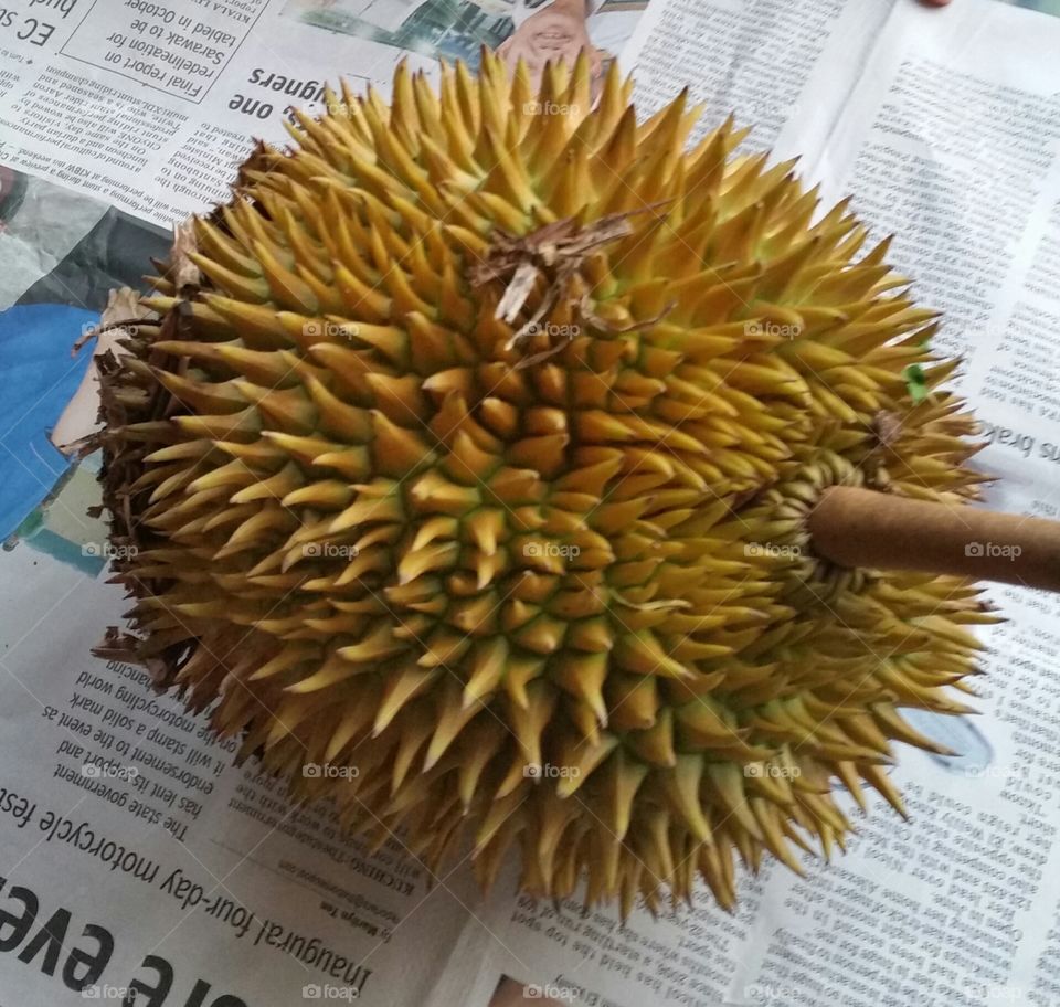 Durian, King of fruit.