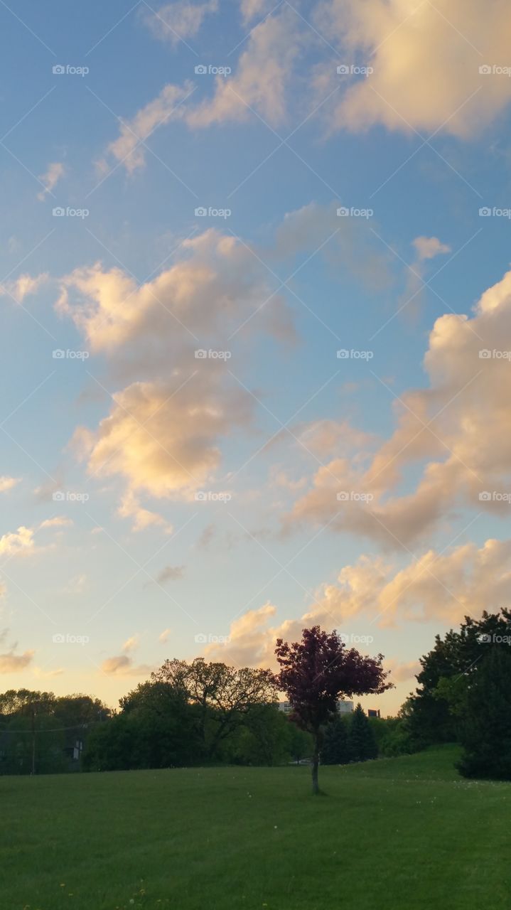 the beautiful night sky on a late afternoon walk