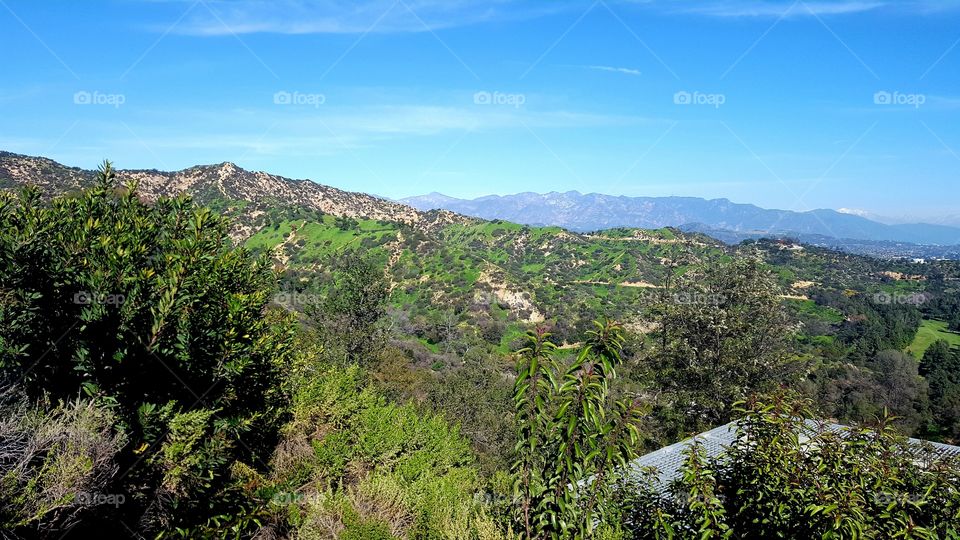 Los Angeles views