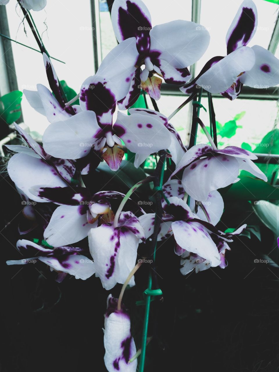 Experience tells you what to do, Confidence allows you to do it.