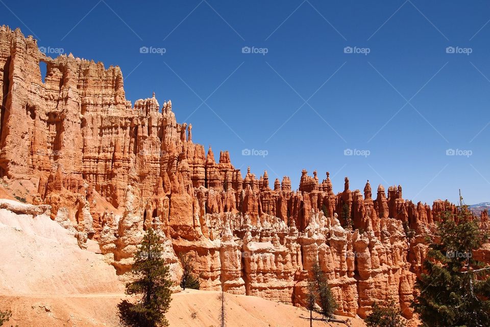 Bryce Canyon spires 