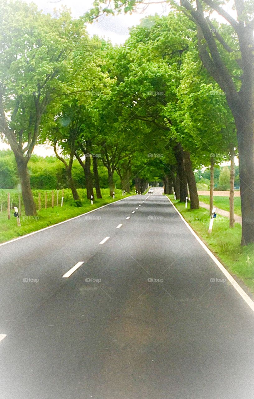 Empty Road 