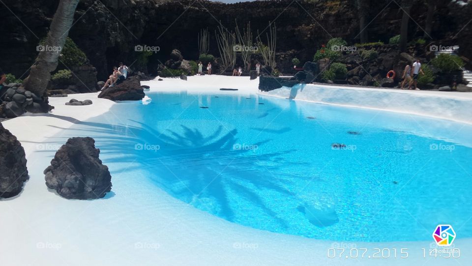 Palm piscina