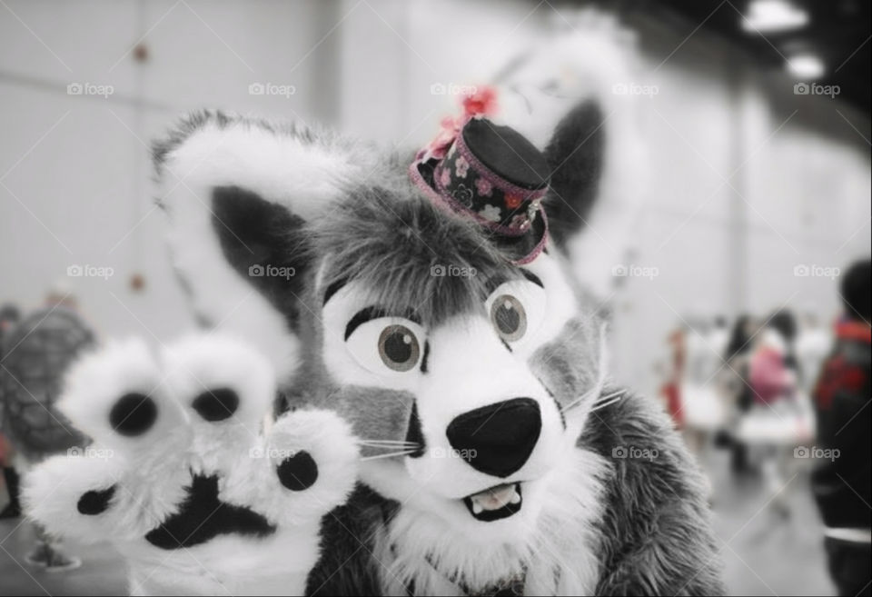 Wolf Furry at an Anime Convention wearing a hand made tiny top hat made by AA&A Artistries.