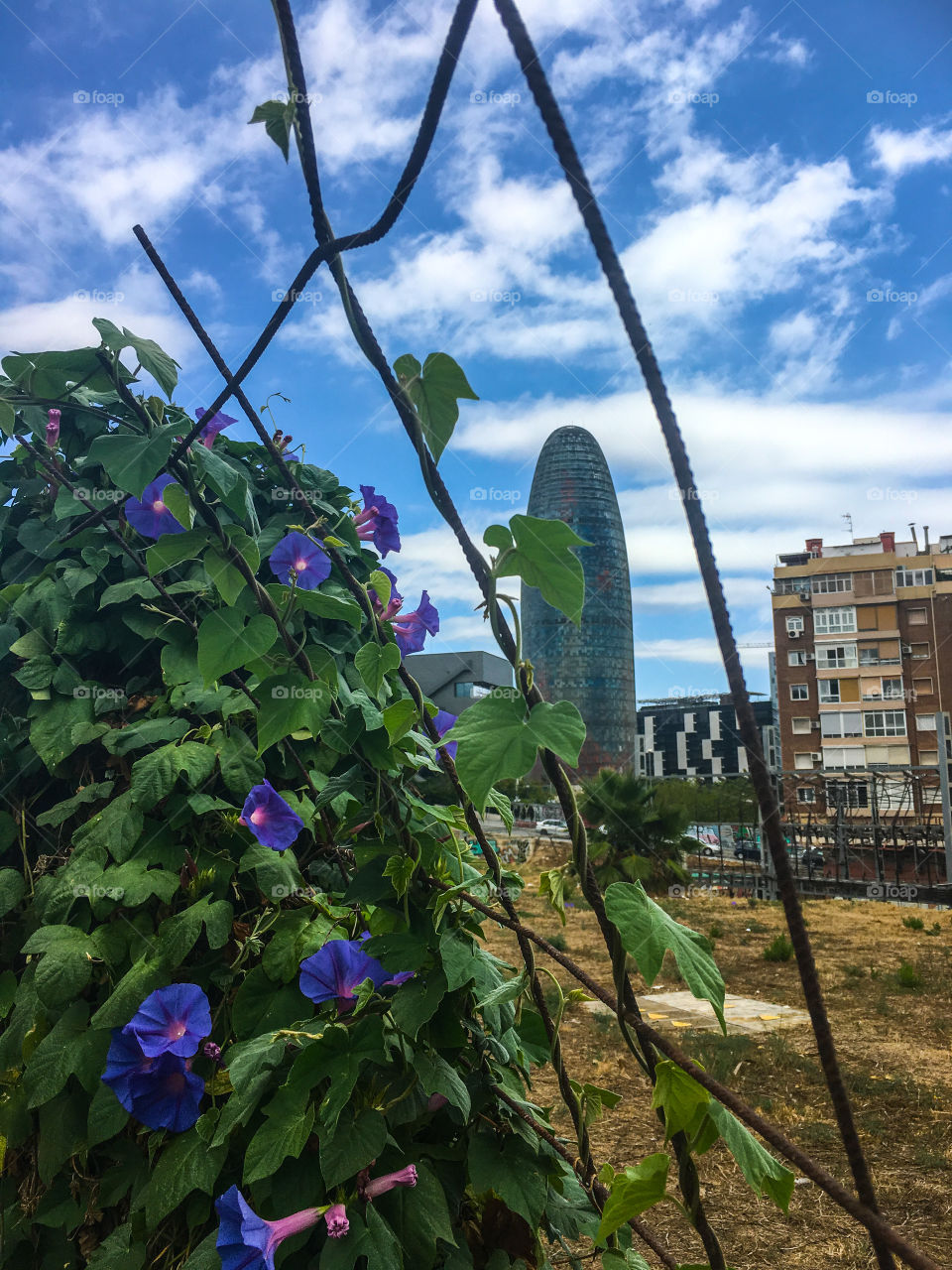 Torre Agbar