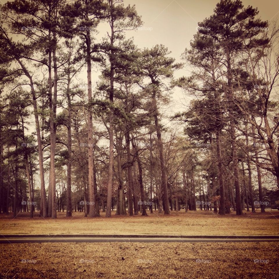 Seymour Johnson Air Force base 