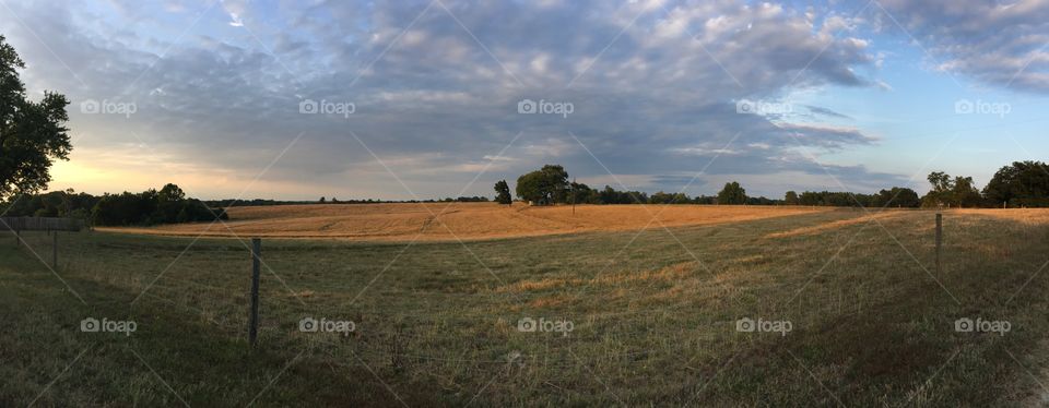 Panoramic pasture