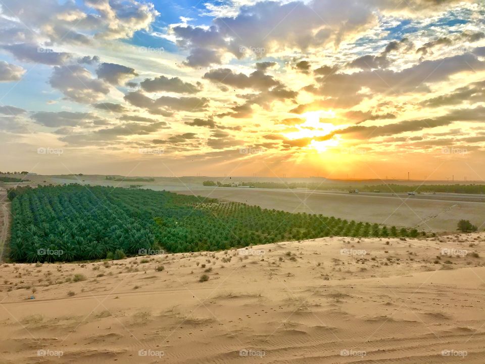 Stunning sunrise in oasis and sand