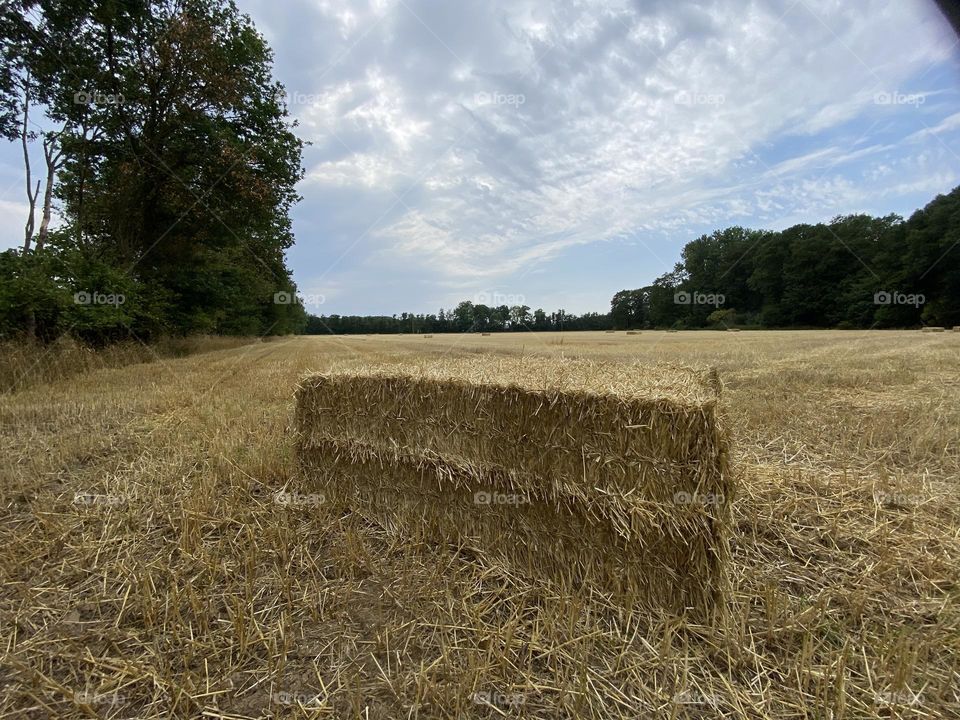 Straw bale 