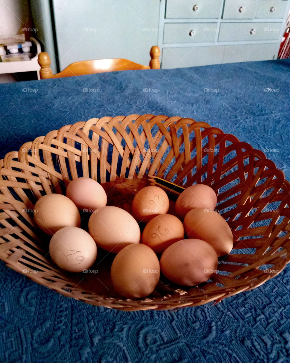 New-laid eggs