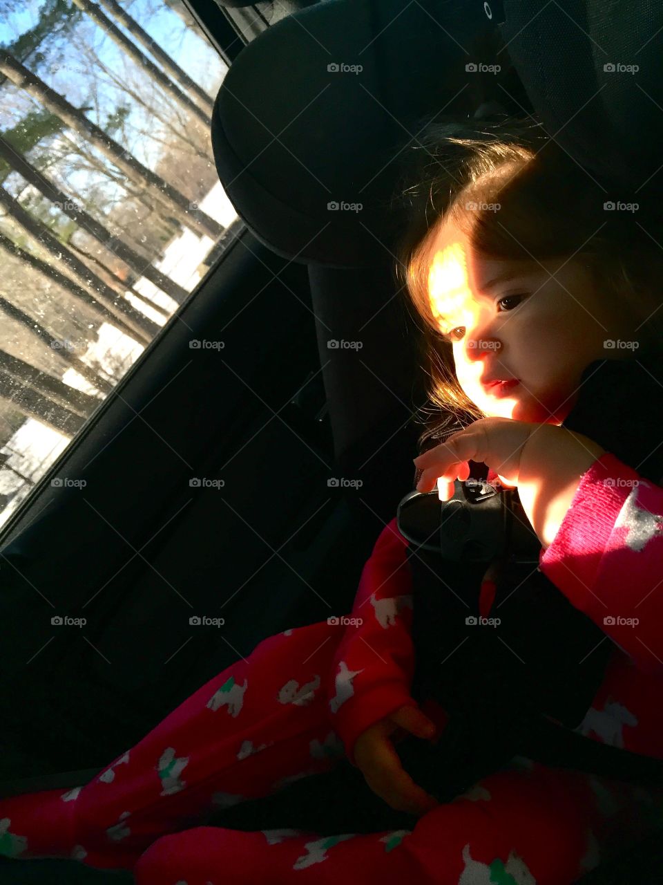 Cute toddler in the car