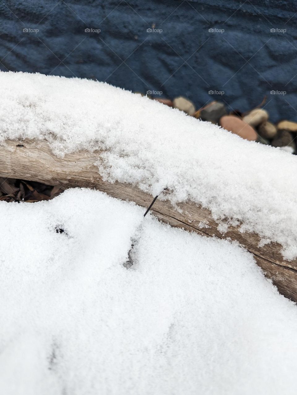 snowy log