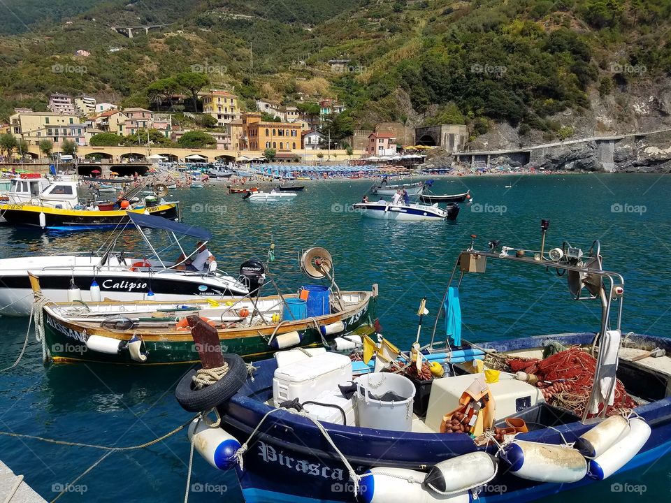 Cinque Terre Scene
