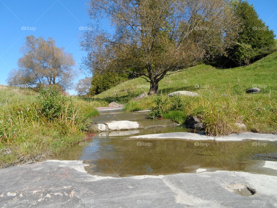 Stream on a nice sunny day