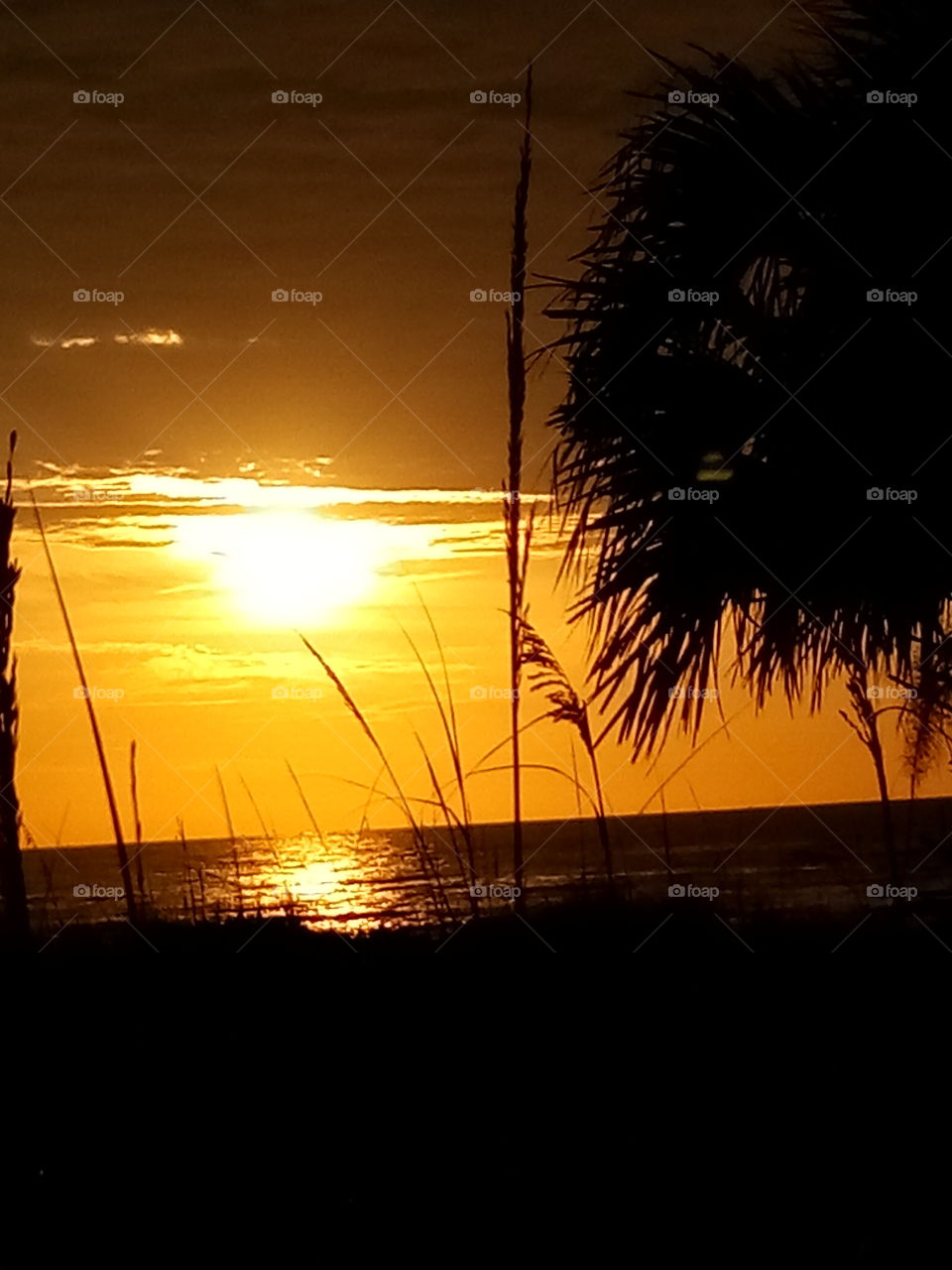 sunrise and found 3 Cape Canaveral Florida