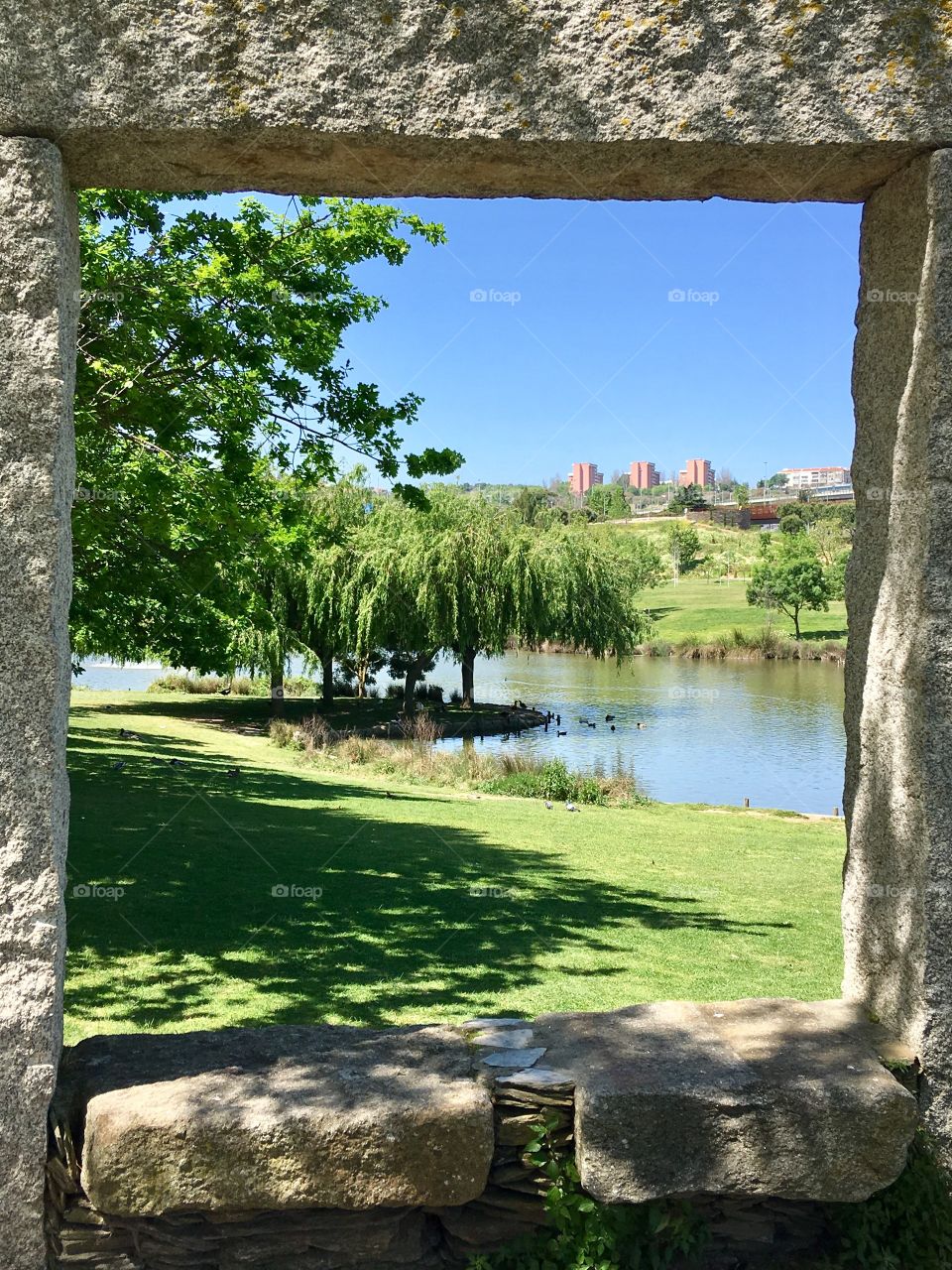 Window to the city park