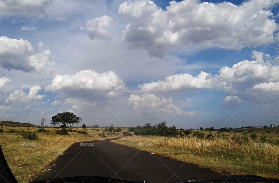 Krugersdorp Game Reserve