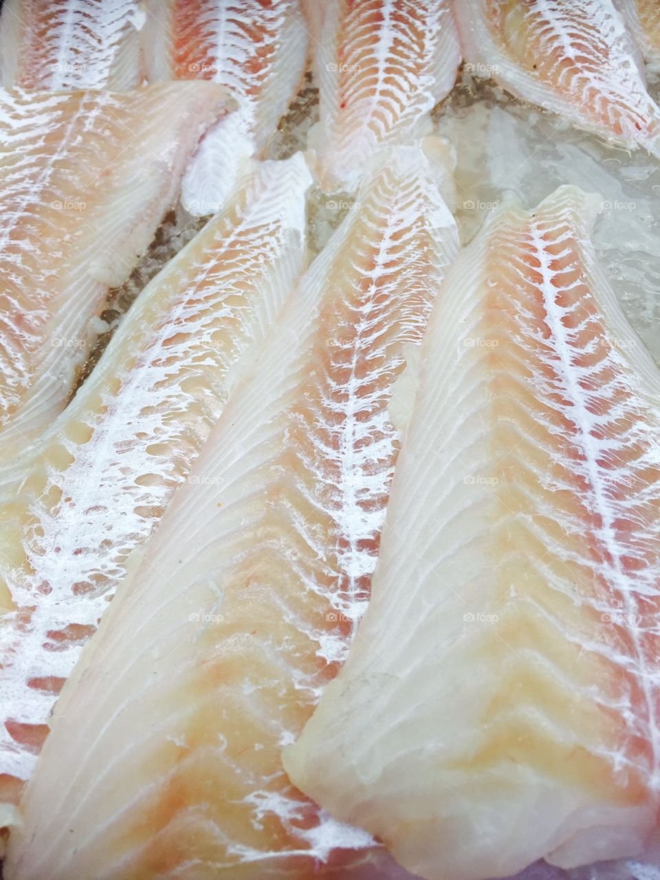 Cod fish fillets