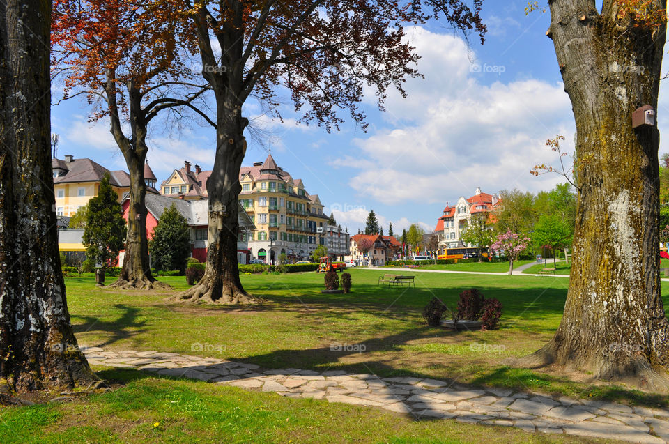 Spring landscape