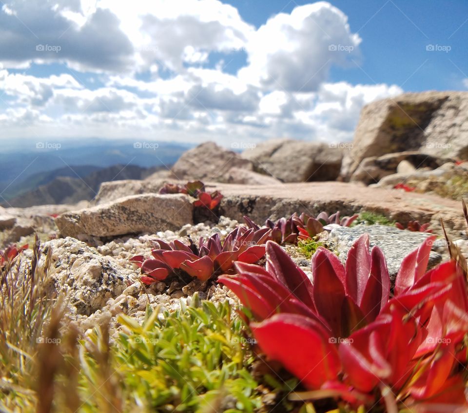 Mount Evans Summit,  CO