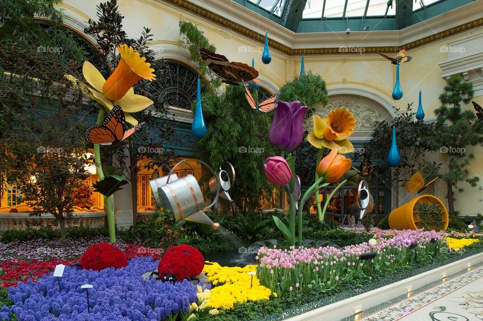 Bellagio Hotel. My favorite hotel to go into and to look at there garden area.  They always do a fantastic job.
