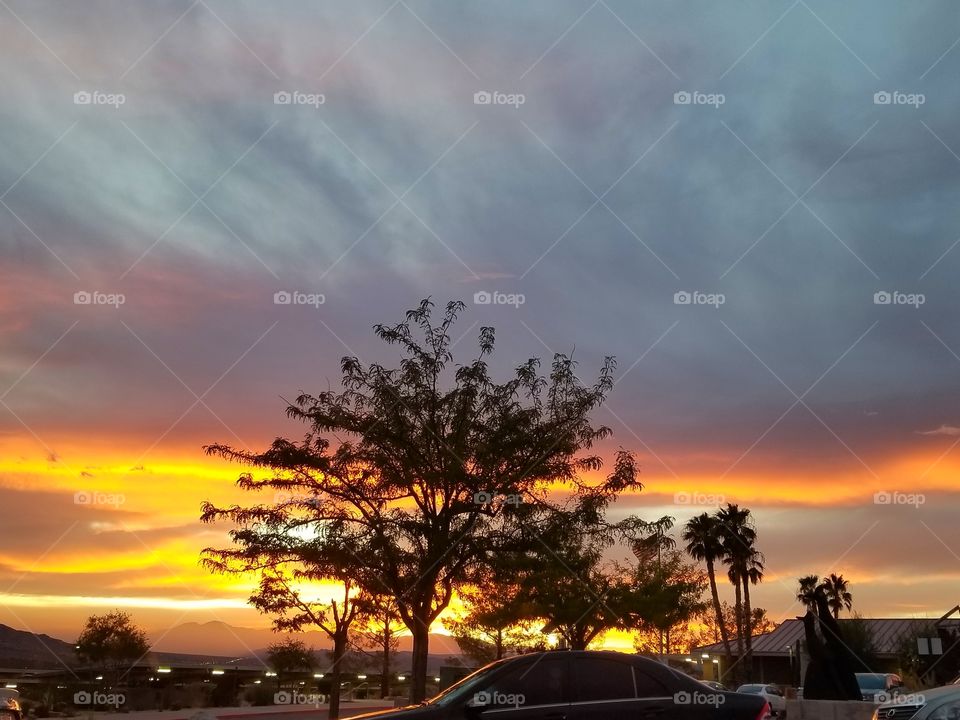 Evening Stories of the Desert. Streaks of color line the sky at sunset. 🌅