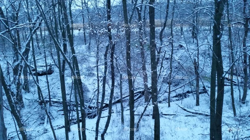 Winter wonderland. Hunting