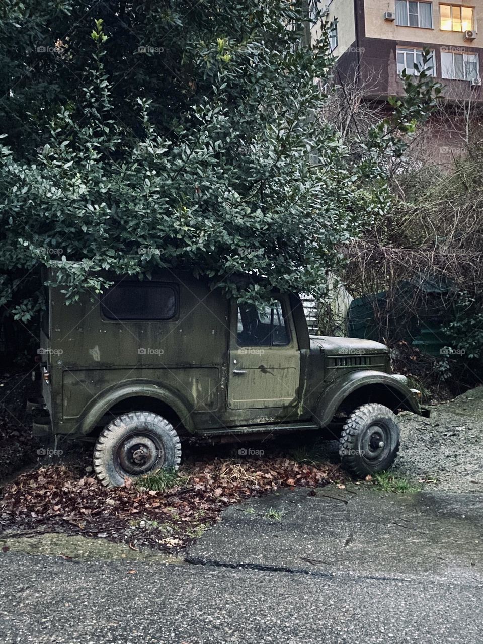 Retro military car among green plants