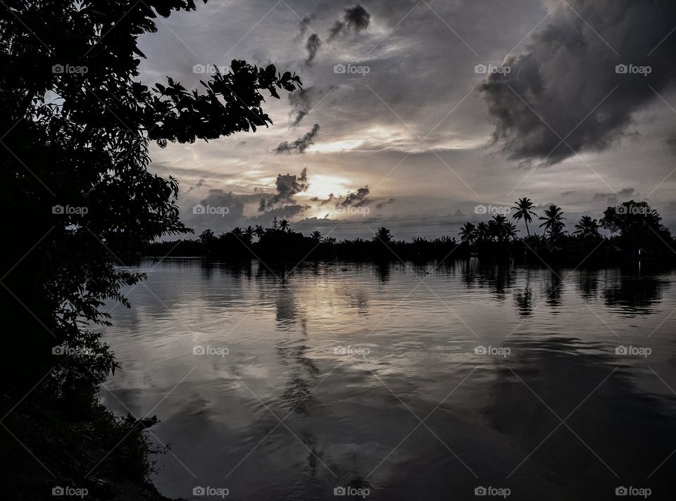nature reflection in rain water