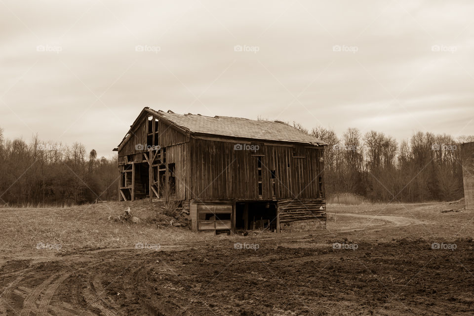 This Old Barn