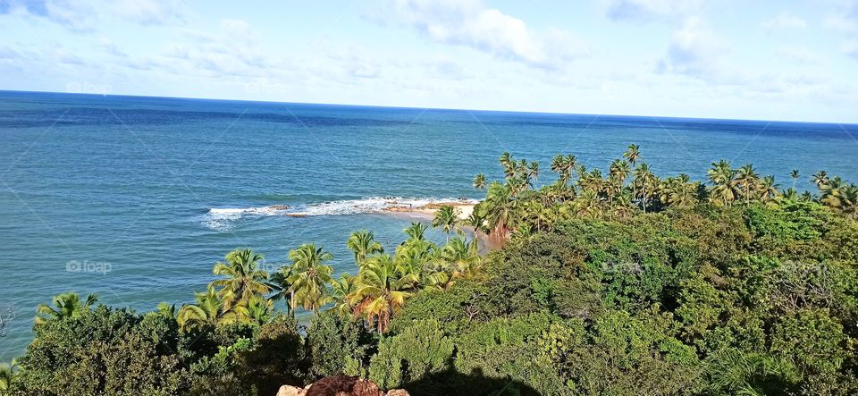 Coqueirinho Beach - Brazil