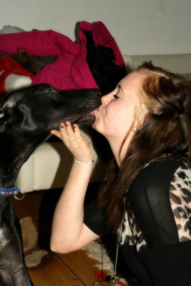 Girl dog