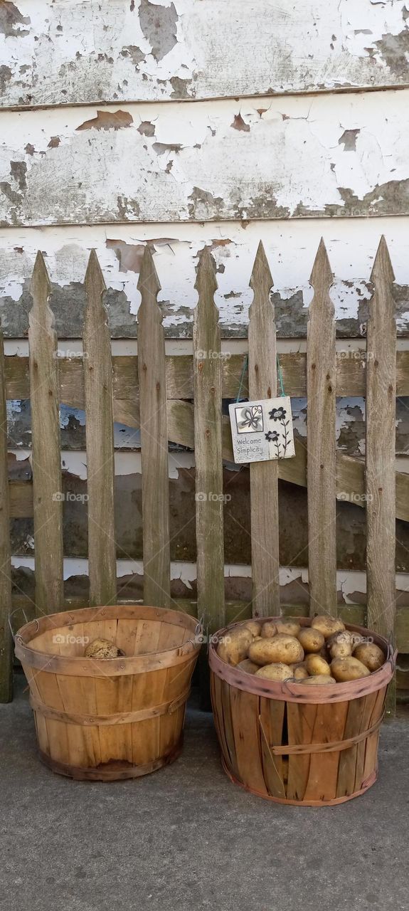 potato fence