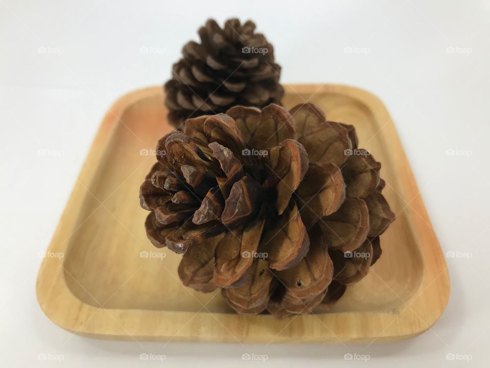 Pine cones