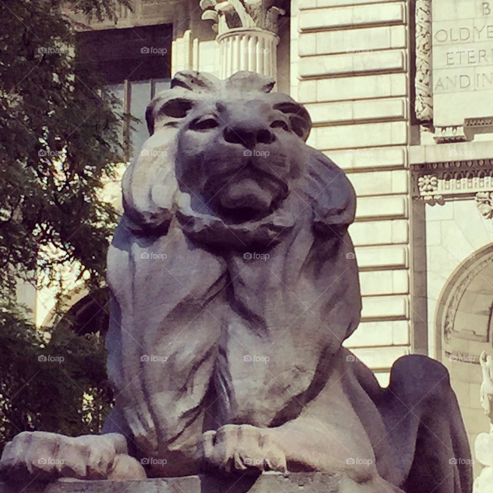 Lion at NY Public Library