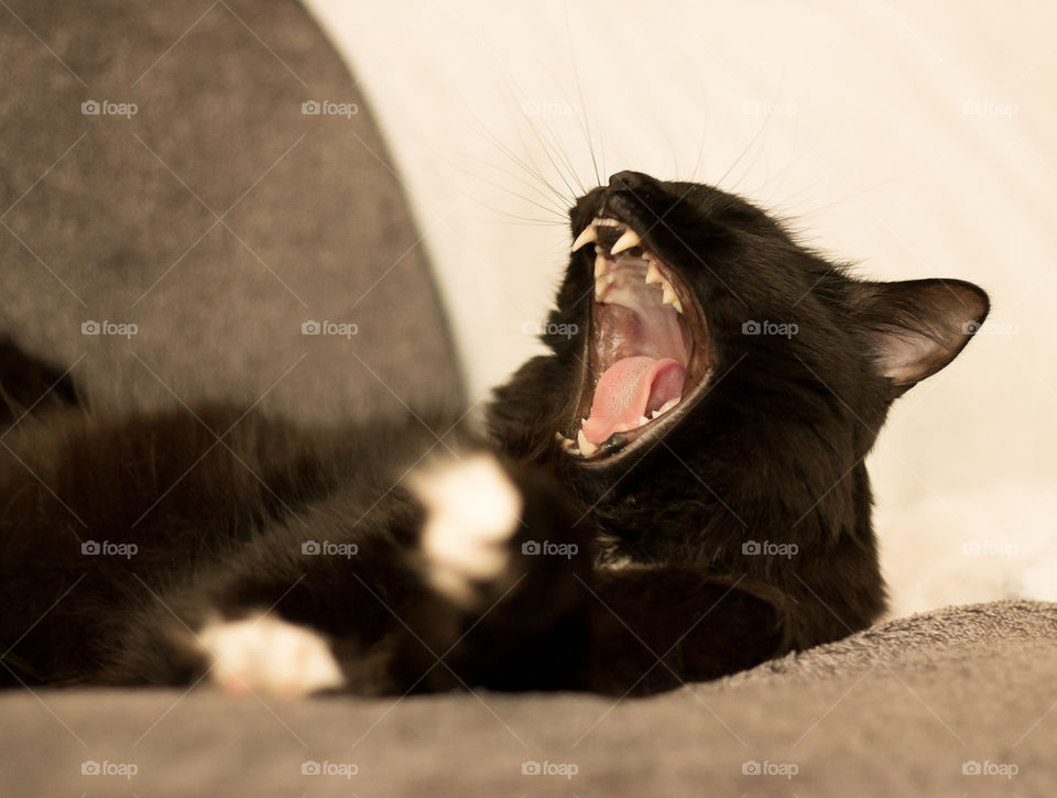 So much to tell, so much to sign 