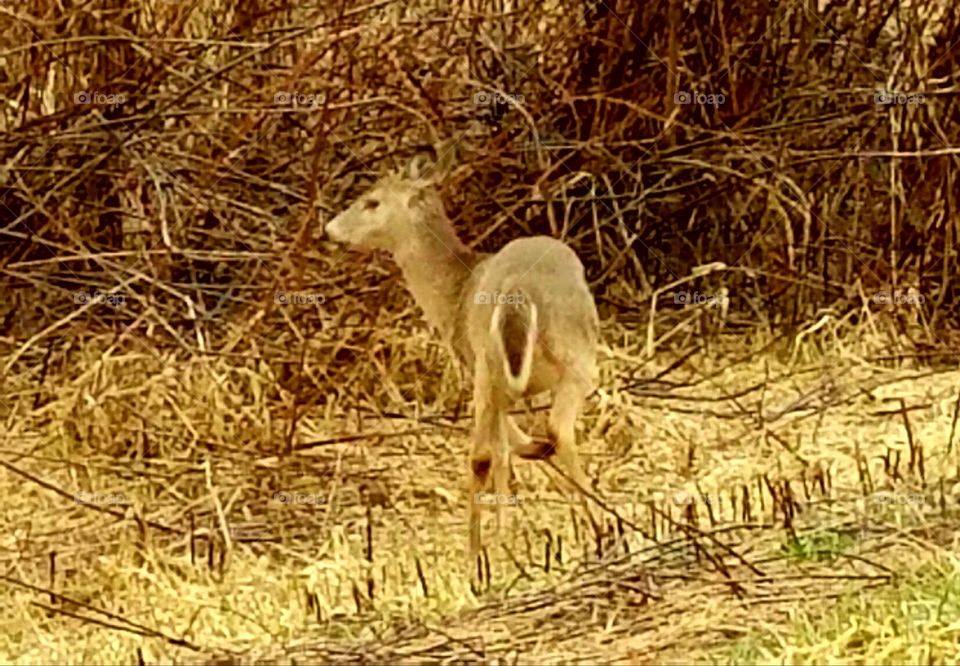 Driving the back Roads, Enjoying Nature