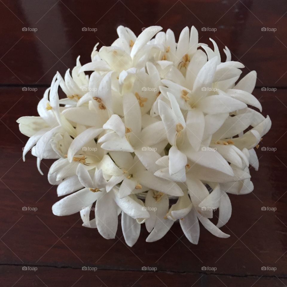 Group of white flower dok peep. Group of white flower dok peep or gasalong are fragrant