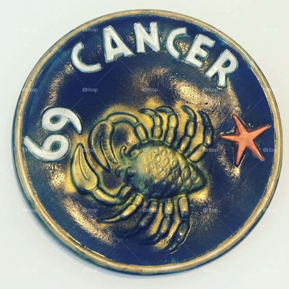 Cancer Zodiac Sign Wall Plate Astrology Decor 