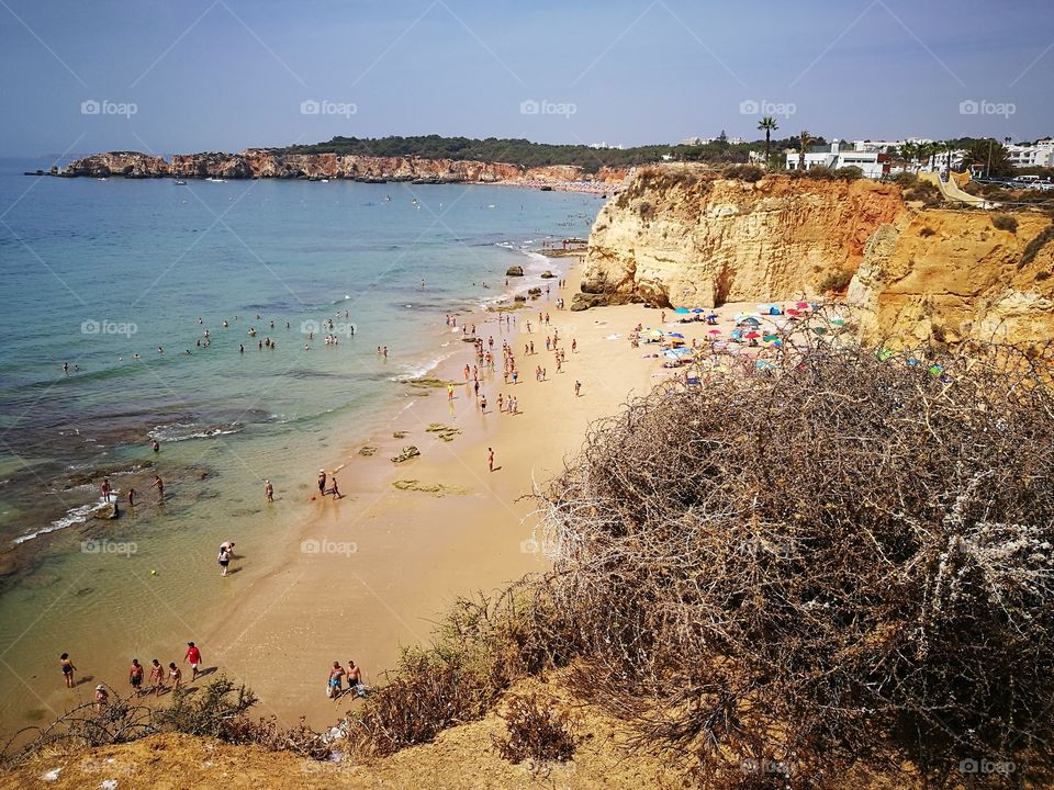 Beach from the cliffs