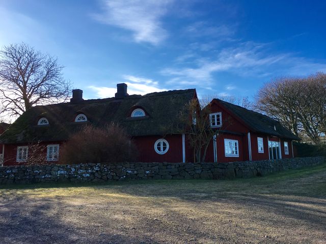 Living in the countryside